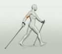 Nordic walking