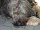 Nahldnut do ivota naich ps-9