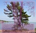 Letn odpoledne u Georgian Bay