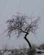 Povdaky (9)