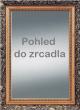 Pohled do zrcadla