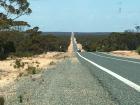 DO ESPERANCE PES  NULLARBOR PLAIN